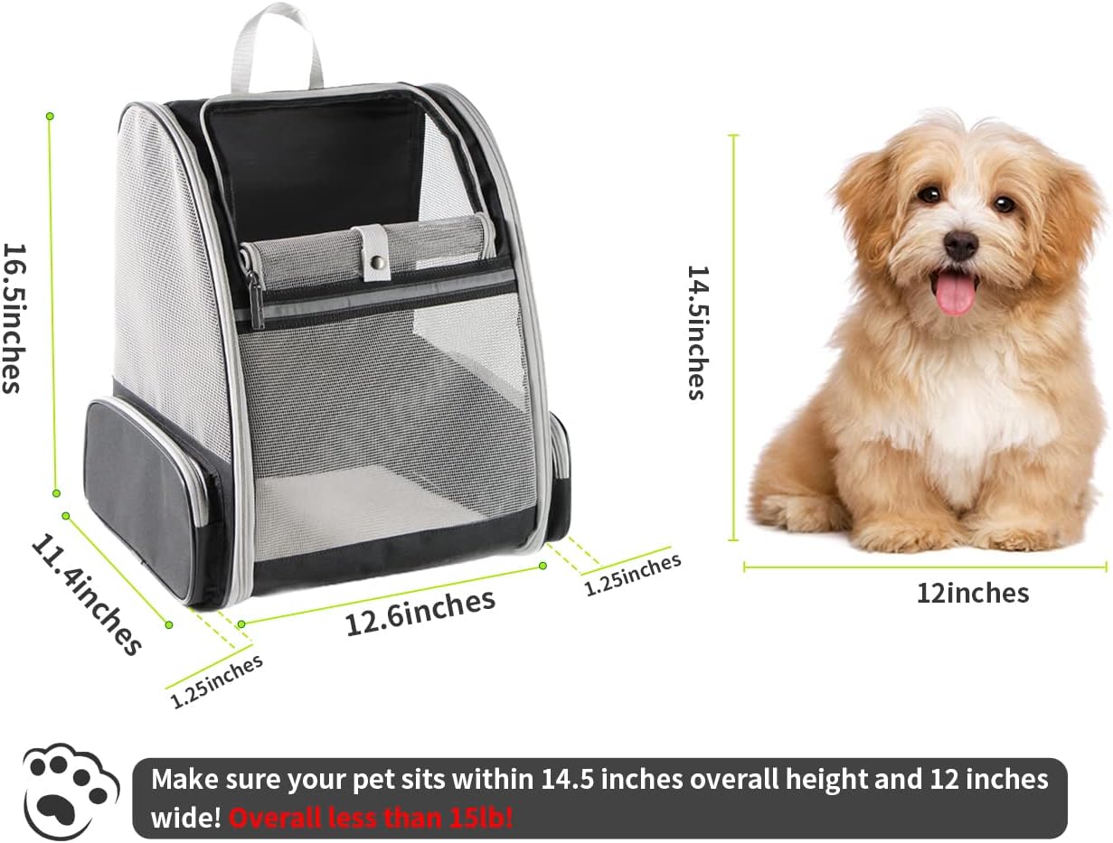Esme Women's Backpack - full-length view