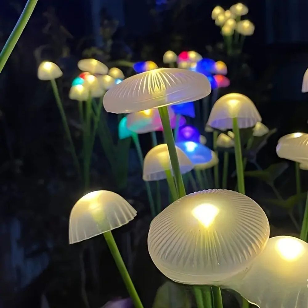 North Solar Decor Lights - flat lay