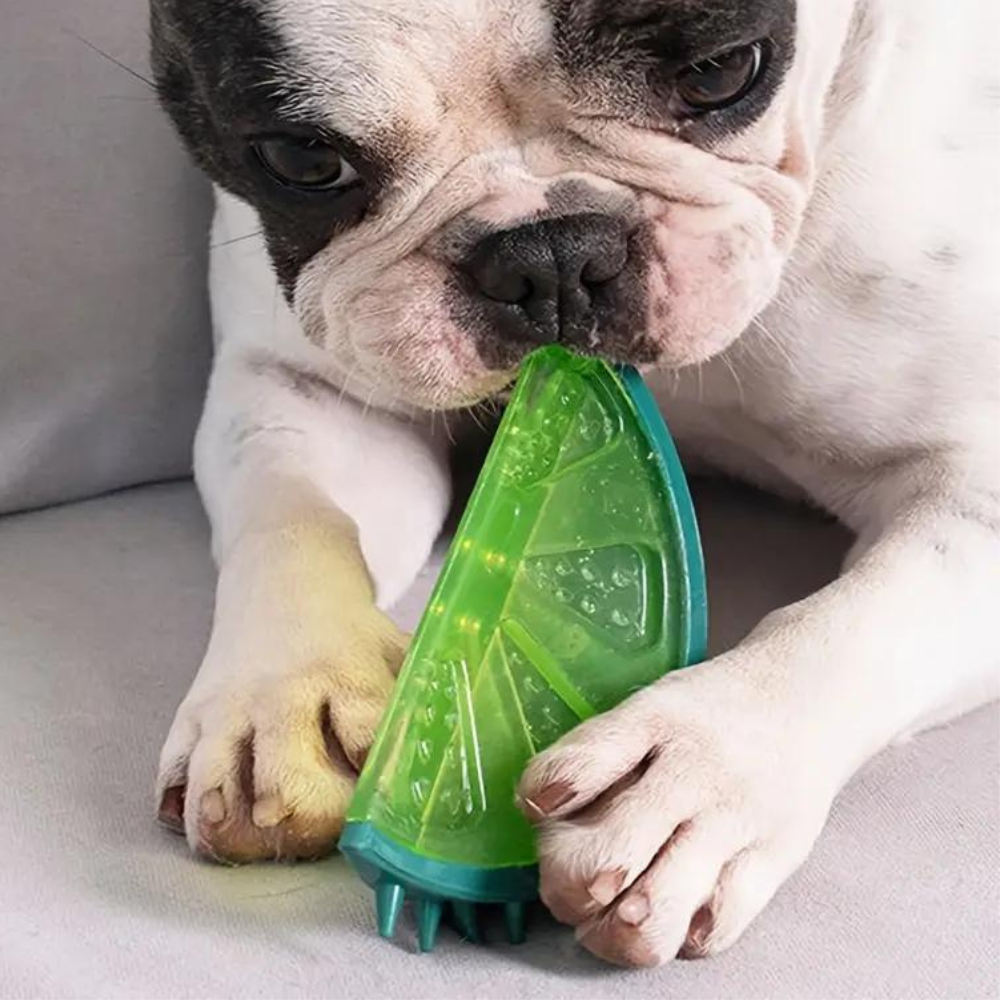 Ember Portable Chew Toy - front view