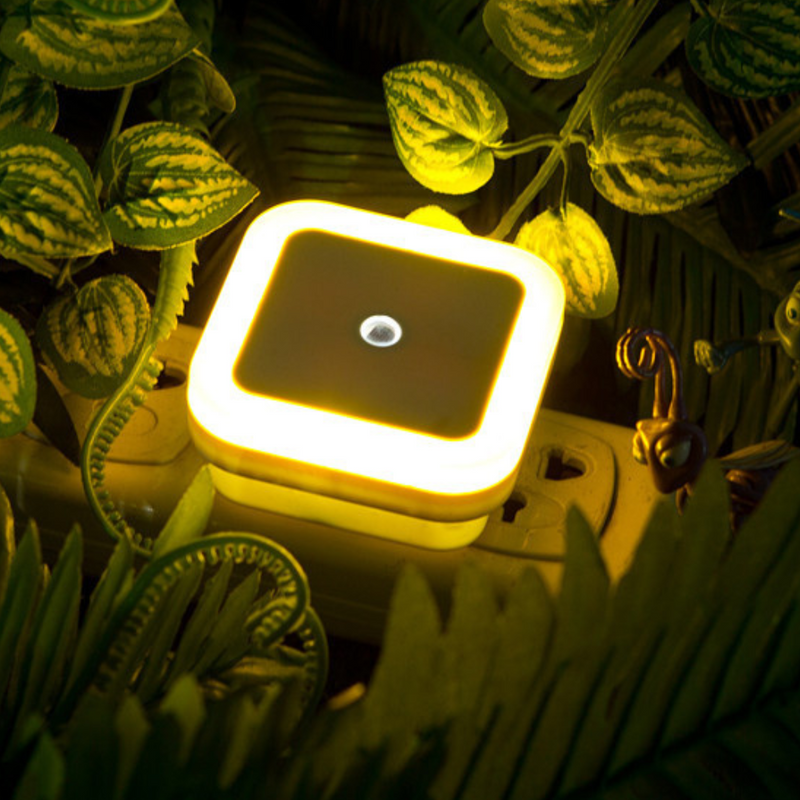 Willow LED Night Light - full-length view