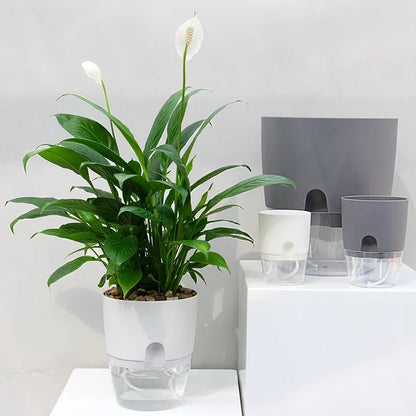 Fern Solar Planter - front view