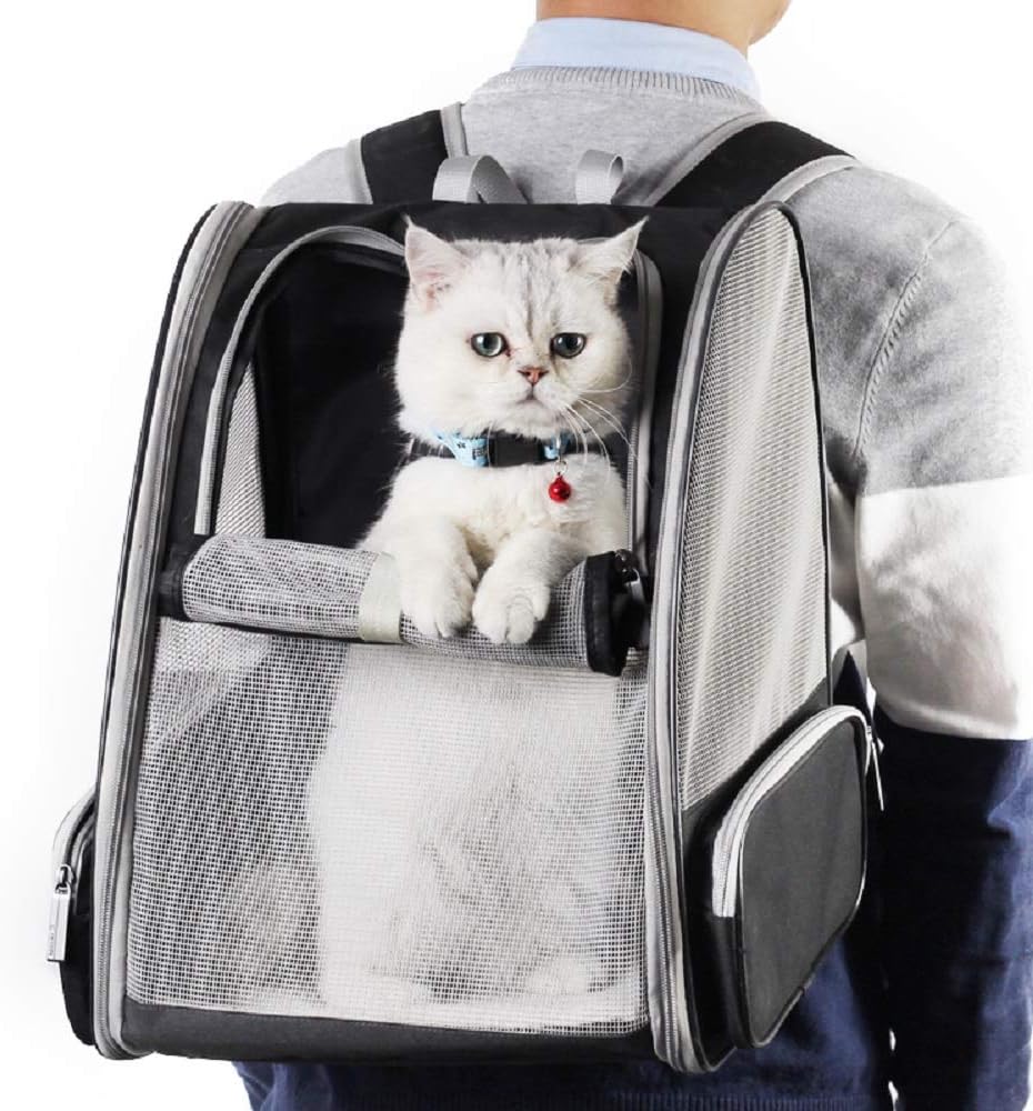 Esme Women's Backpack - front view
