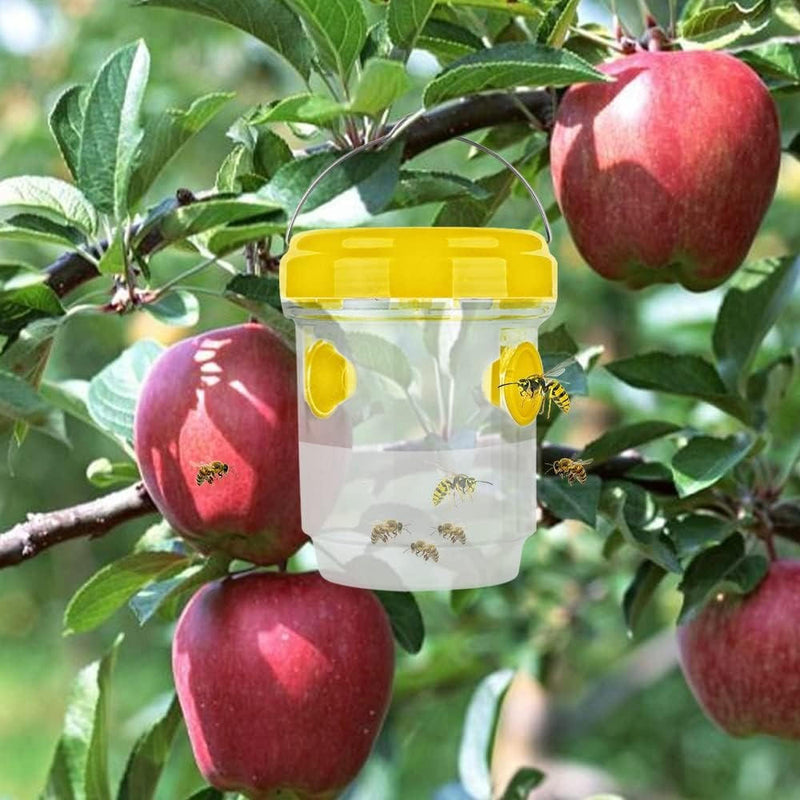 Juniper Portable Fly Traps | Late-Summer Heat