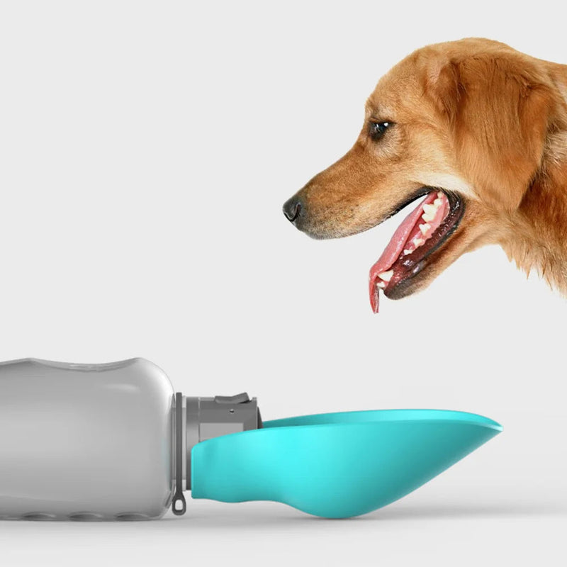 Slate Portable Water Bottle | Green, Pink
