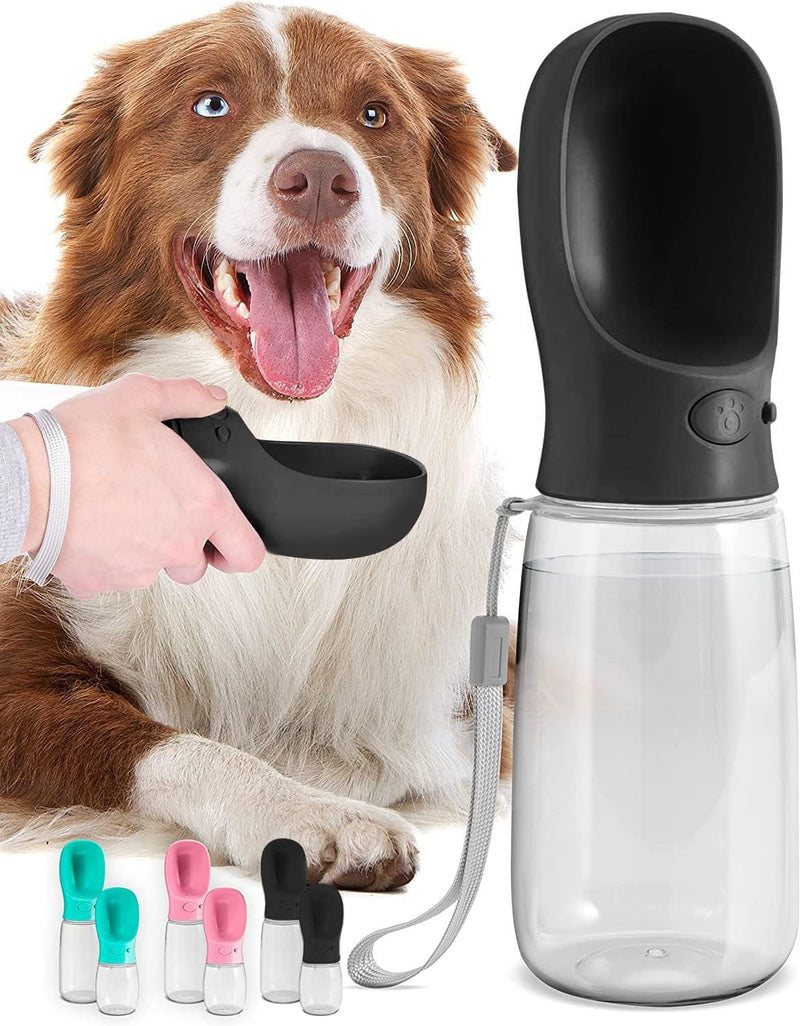Bay Portable Water Bottle | Late-Summer Heat