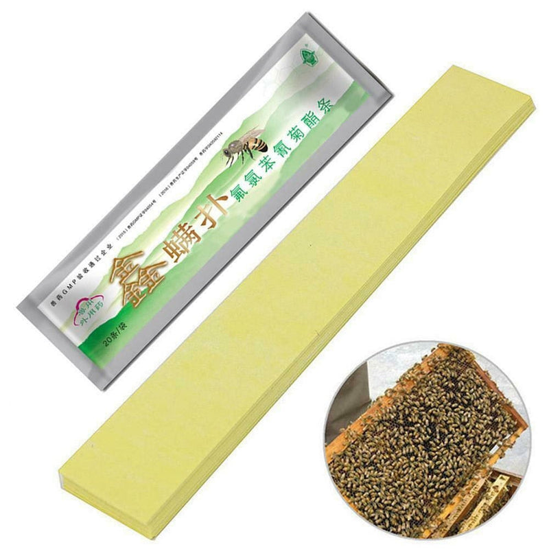 Pine Portable Insect Repellent | Late-Summer Heat