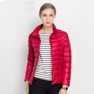 Kara Women's Black Puffer Jacket | Lightweight Insulation, Slim Fit 4