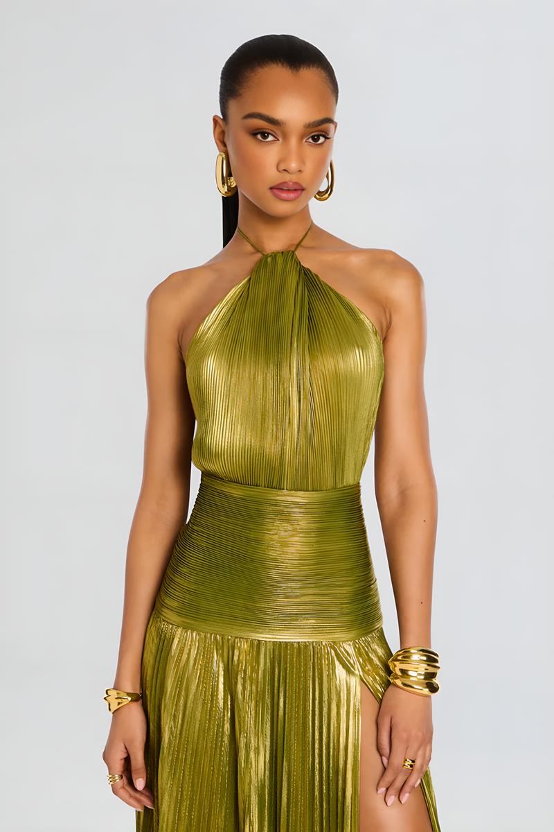 Rhea Women's Pleated Maxi Dress - back view