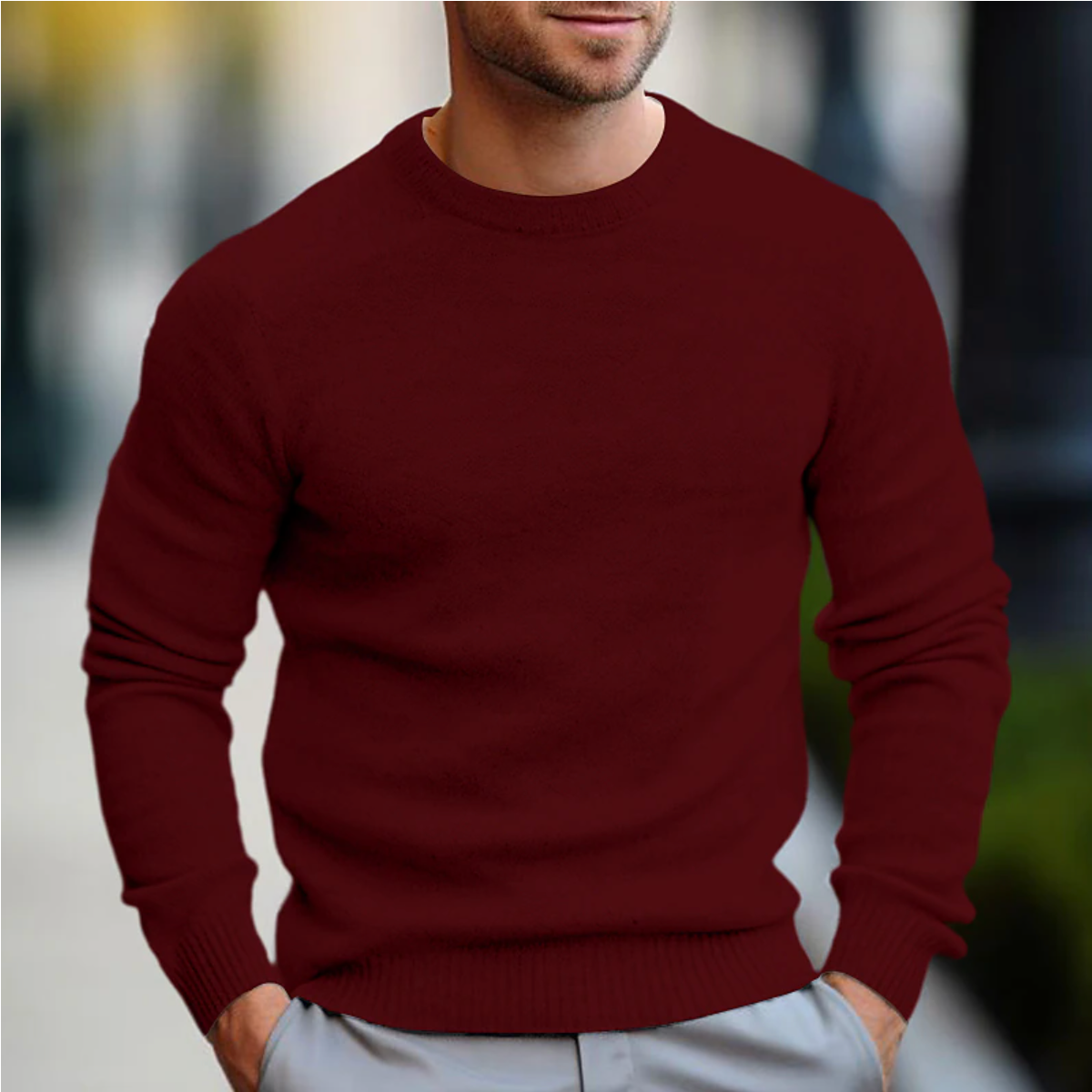 Theo Men's Sweater - back view