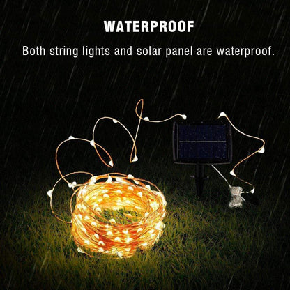 Pine Solar Lights - back view