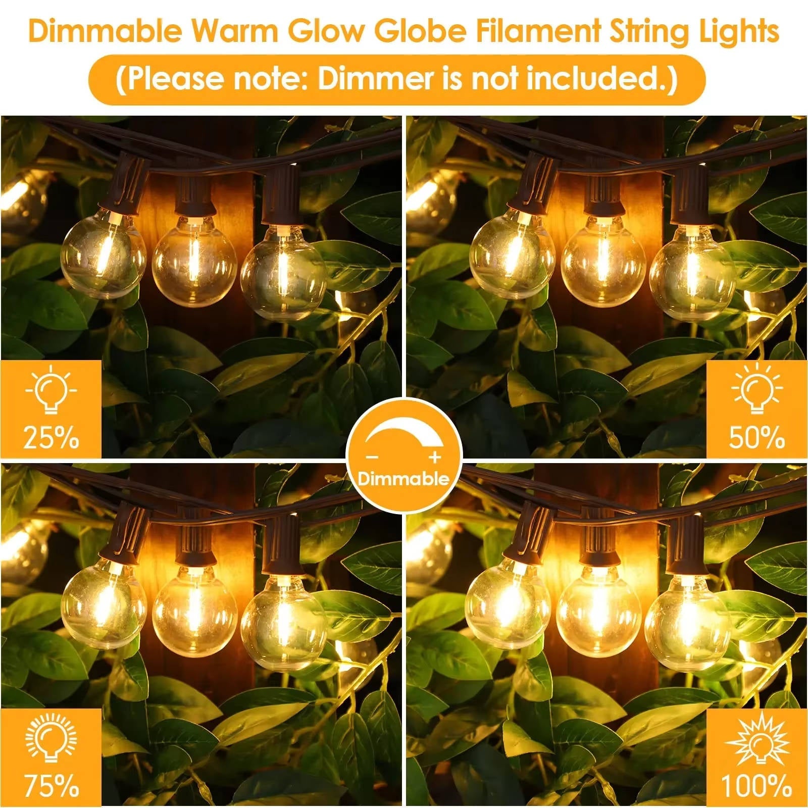 Birch LED String Lights - close-up detail