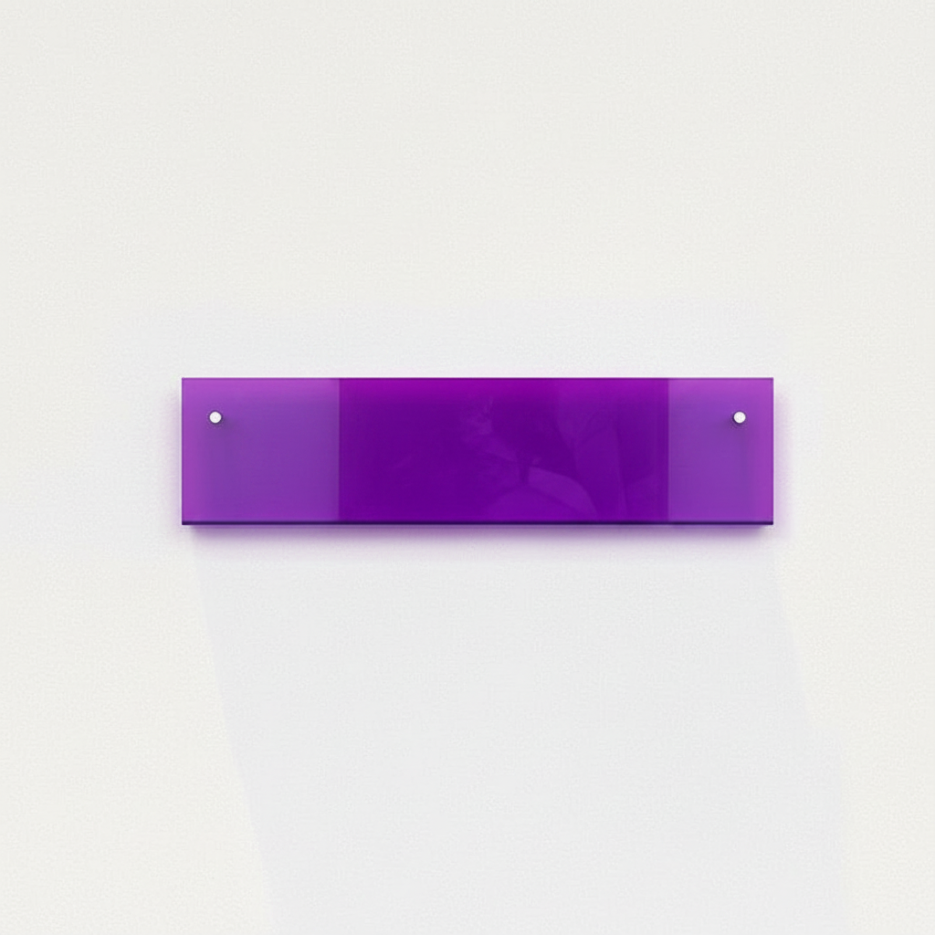 Modern Acrylic Floating Shelf Purple