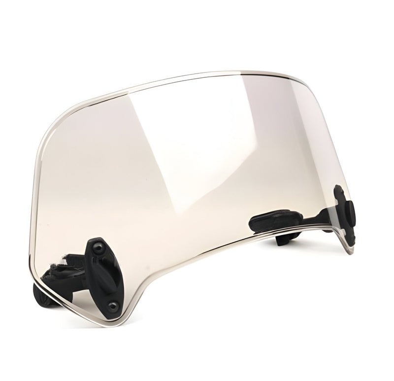 Fern Car Windshield Extension - flat lay