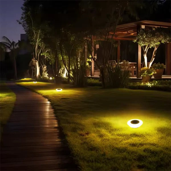Haven Solar Outdoor Lights - flat lay