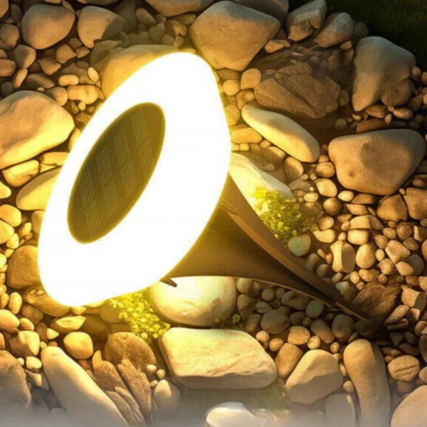 Haven Solar Outdoor Lights - close-up detail