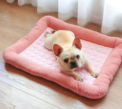 Birch Portable Pet Bed - back view