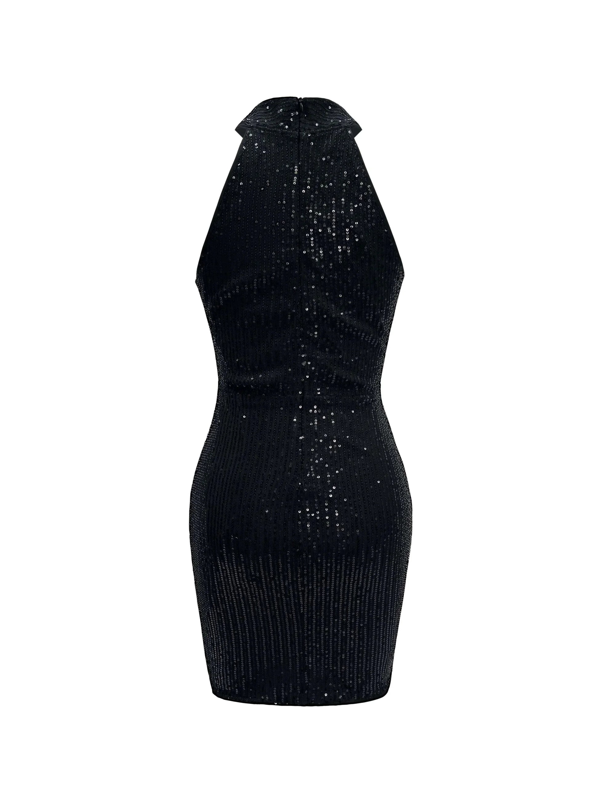 Elena Women's Mini Dress - back view